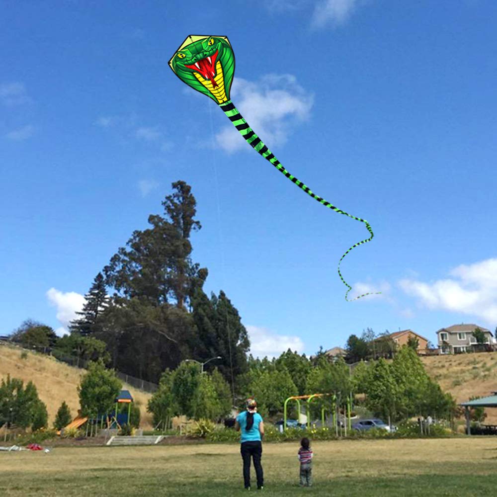 طائرة ورقية كبيرة على شكل ثعبا - مراجعة Kite Wind Outdoor وسعره