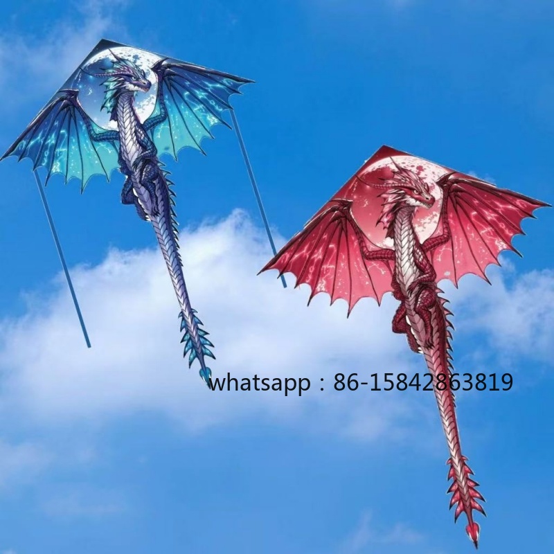 طائرات ورقية جديدة على شكل دين - مراجعة Kite Wind Outdoor وسعره