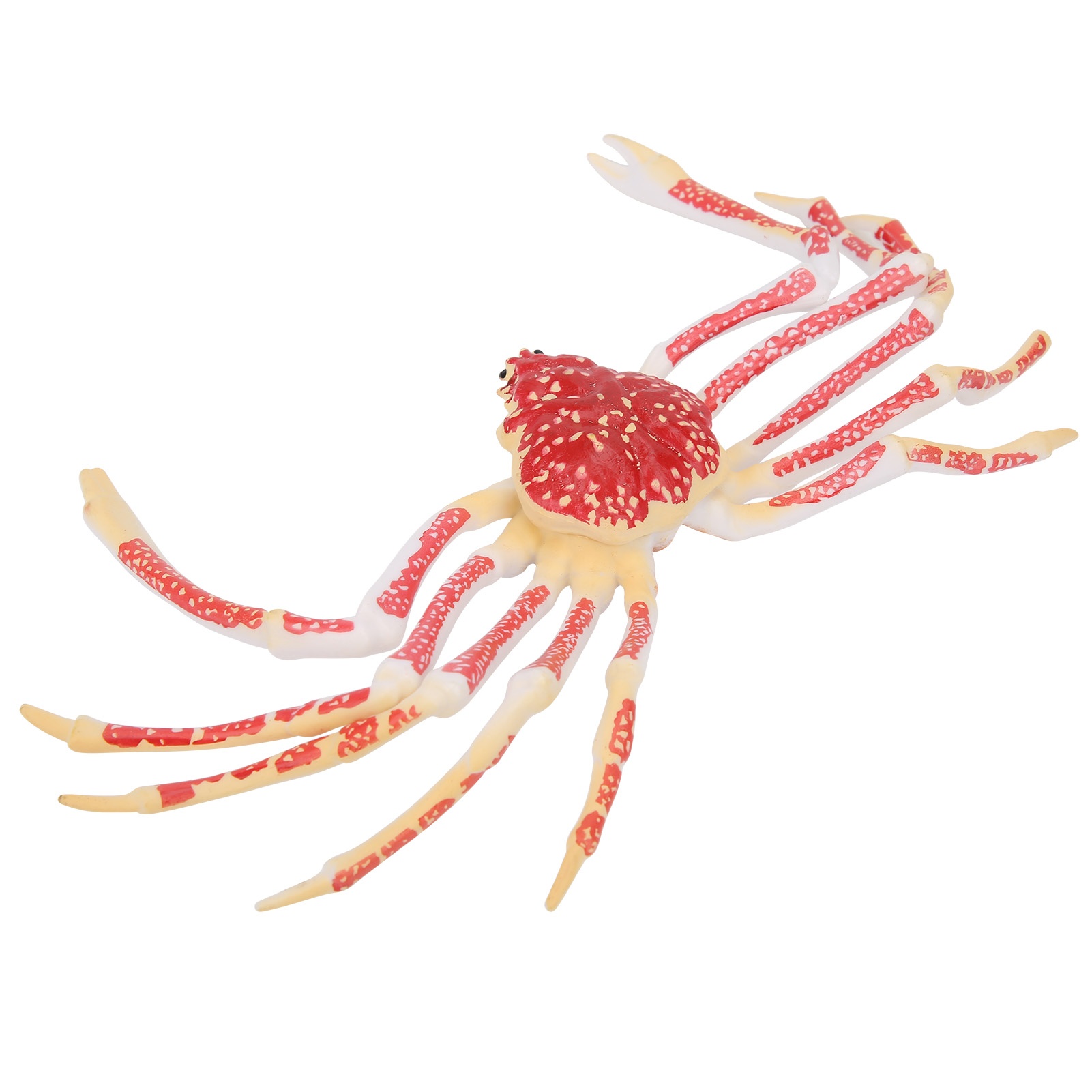 نموذج سرطان البحر المحاكي للزي - مراجعة Kids Toys Home وسعره