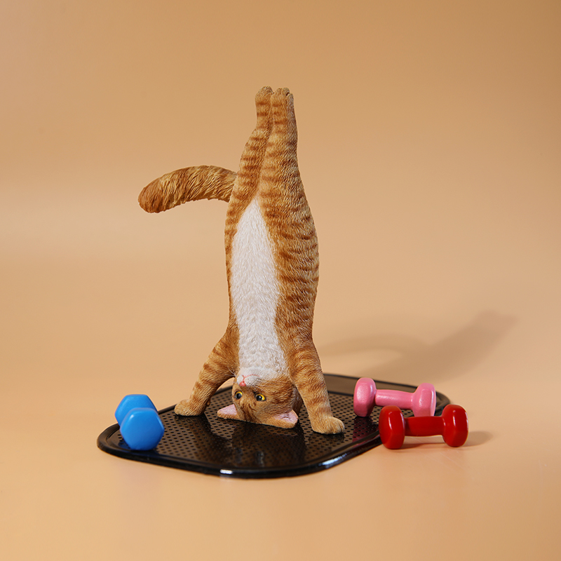 1/6 مقياس صغير مقلد اللياقة ال - مراجعة Kids Yoga Toys وسعره