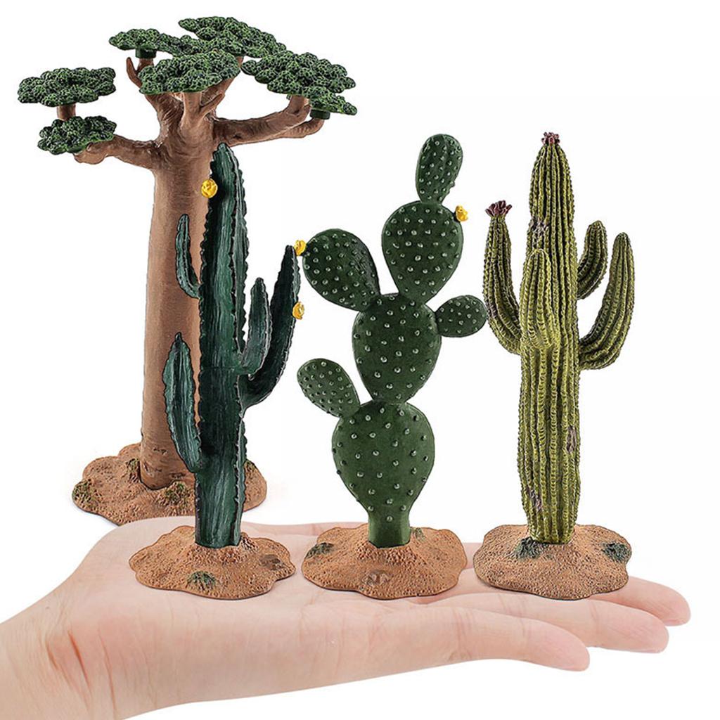 نموذج صبار محاكي، نبات الباوبا - مراجعة Kids Toys In Store وسعره